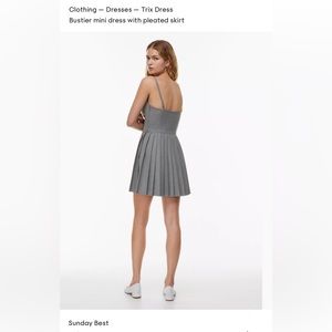 Aritzia-Sunday Best Trixie Gray Dress (Never Worn)